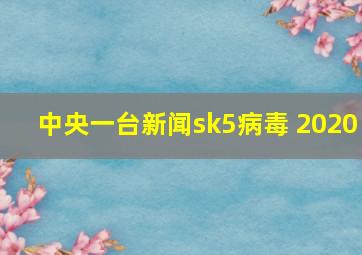 中央一台新闻sk5病毒 2020